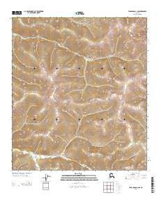 Tanacross D-1 NW Alaska Current topographic map, 1:25000 scale, 7.5 X 7.5 Minute, Year 2013