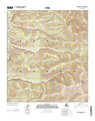 Tanacross D-2 NW Alaska Current topographic map, 1:25000 scale, 7.5 X 7.5 Minute, Year 2013