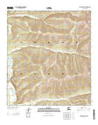 Tanacross D-2 SW Alaska Current topographic map, 1:25000 scale, 7.5 X 7.5 Minute, Year 2013