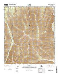 Tanacross D-3 SE Alaska Current topographic map, 1:25000 scale, 7.5 X 7.5 Minute, Year 2013