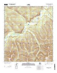 Tanacross D-3 SW Alaska Current topographic map, 1:25000 scale, 7.5 X 7.5 Minute, Year 2013
