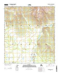 Tanacross D-4 NW Alaska Current topographic map, 1:25000 scale, 7.5 X 7.5 Minute, Year 2013