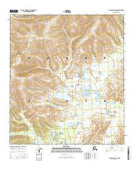 Tanacross D-6 SW Alaska Current topographic map, 1:25000 scale, 7.5 X 7.5 Minute, Year 2016