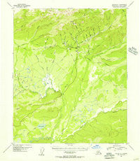 Tanana A-1 Alaska Historical topographic map, 1:63360 scale, 15 X 15 Minute, Year 1952
