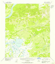 Tanana A-3 Alaska Historical topographic map, 1:63360 scale, 15 X 15 Minute, Year 1952