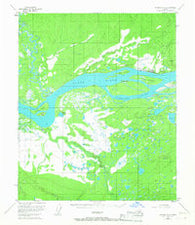 Tanana A-5 Alaska Historical topographic map, 1:63360 scale, 15 X 15 Minute, Year 1953