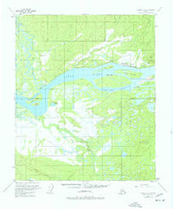 Tanana A-5 Alaska Historical topographic map, 1:63360 scale, 15 X 15 Minute, Year 1953