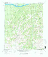 Tanana B-1 Alaska Historical topographic map, 1:63360 scale, 15 X 15 Minute, Year 1956