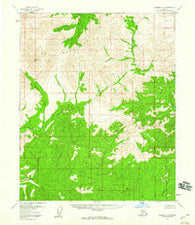 Tanana C-2 Alaska Historical topographic map, 1:63360 scale, 15 X 15 Minute, Year 1956