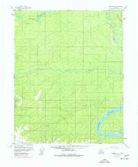Tanana D-1 Alaska Historical topographic map, 1:63360 scale, 15 X 15 Minute, Year 1956