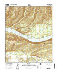 Tanana A-4 NE Alaska Current topographic map, 1:25000 scale, 7.5 X 7.5 Minute, Year 2016