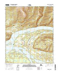 Tanana A-4 NW Alaska Current topographic map, 1:25000 scale, 7.5 X 7.5 Minute, Year 2016