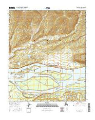 Tanana A-5 NE Alaska Current topographic map, 1:25000 scale, 7.5 X 7.5 Minute, Year 2016