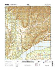 Tanana A-5 NW Alaska Current topographic map, 1:25000 scale, 7.5 X 7.5 Minute, Year 2016