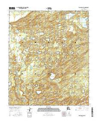 Tanana A-5 SE Alaska Current topographic map, 1:25000 scale, 7.5 X 7.5 Minute, Year 2016