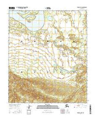 Tanana A-5 SW Alaska Current topographic map, 1:25000 scale, 7.5 X 7.5 Minute, Year 2016