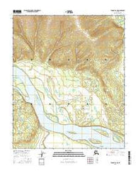 Tanana A-6 NE Alaska Current topographic map, 1:25000 scale, 7.5 X 7.5 Minute, Year 2016