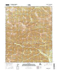 Tanana B-3 NE Alaska Current topographic map, 1:25000 scale, 7.5 X 7.5 Minute, Year 2016