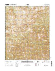 Tanana B-3 NW Alaska Current topographic map, 1:25000 scale, 7.5 X 7.5 Minute, Year 2016