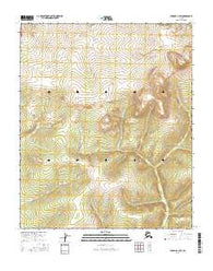 Tanana B-4 SW Alaska Current topographic map, 1:25000 scale, 7.5 X 7.5 Minute, Year 2016