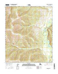 Tanana B-6 SE Alaska Current topographic map, 1:25000 scale, 7.5 X 7.5 Minute, Year 2016