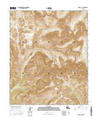Tanana C-3 NE Alaska Current topographic map, 1:25000 scale, 7.5 X 7.5 Minute, Year 2016