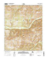 Tanana C-3 SE Alaska Current topographic map, 1:25000 scale, 7.5 X 7.5 Minute, Year 2016