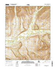 Tanana C-3 SW Alaska Current topographic map, 1:25000 scale, 7.5 X 7.5 Minute, Year 2016