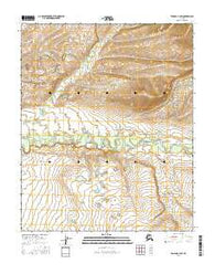 Tanana C-4 SW Alaska Current topographic map, 1:25000 scale, 7.5 X 7.5 Minute, Year 2016
