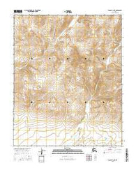 Tanana C-5 NE Alaska Current topographic map, 1:25000 scale, 7.5 X 7.5 Minute, Year 2016