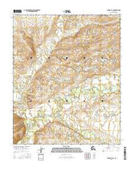 Tanana C-5 SE Alaska Current topographic map, 1:25000 scale, 7.5 X 7.5 Minute, Year 2016