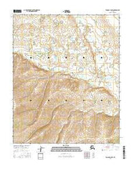 Tanana C-5 SW Alaska Current topographic map, 1:25000 scale, 7.5 X 7.5 Minute, Year 2016