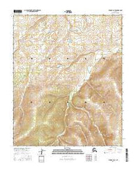 Tanana C-6 SE Alaska Current topographic map, 1:25000 scale, 7.5 X 7.5 Minute, Year 2016