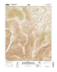 Tanana C-6 SW Alaska Current topographic map, 1:25000 scale, 7.5 X 7.5 Minute, Year 2016