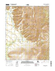 Tanana D-3 NE Alaska Current topographic map, 1:25000 scale, 7.5 X 7.5 Minute, Year 2016