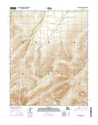 Tanana D-3 SW Alaska Current topographic map, 1:25000 scale, 7.5 X 7.5 Minute, Year 2016