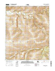 Tanana D-4 NE Alaska Current topographic map, 1:25000 scale, 7.5 X 7.5 Minute, Year 2016