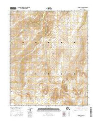 Tanana D-4 SE Alaska Current topographic map, 1:25000 scale, 7.5 X 7.5 Minute, Year 2016