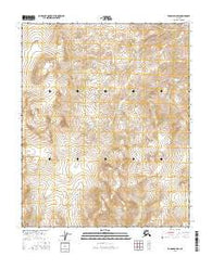 Tanana D-4 SW Alaska Current topographic map, 1:25000 scale, 7.5 X 7.5 Minute, Year 2016