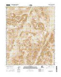 Tanana D-5 SE Alaska Current topographic map, 1:25000 scale, 7.5 X 7.5 Minute, Year 2016