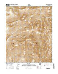 Tanana D-5 SW Alaska Current topographic map, 1:25000 scale, 7.5 X 7.5 Minute, Year 2016