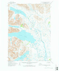 Taylor Mountains B-8 Alaska Historical topographic map, 1:63360 scale, 15 X 15 Minute, Year 1954