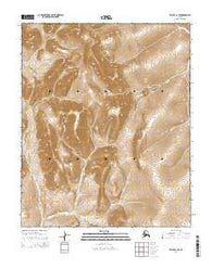 Teller C-1 SE Alaska Current topographic map, 1:25000 scale, 7.5 X 7.5 Minute, Year 2014