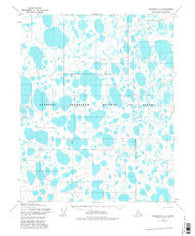 Teshekpuk A-2 Alaska Historical topographic map, 1:63360 scale, 15 X 15 Minute, Year 1955