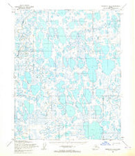 Teshekpuk A-5 Alaska Historical topographic map, 1:63360 scale, 15 X 15 Minute, Year 1955