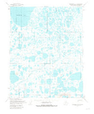 Teshekpuk B-1 Alaska Historical topographic map, 1:63360 scale, 15 X 15 Minute, Year 1955