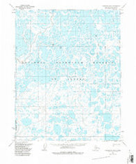 Teshekpuk B-3 Alaska Historical topographic map, 1:63360 scale, 15 X 15 Minute, Year 1955