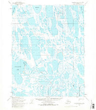 Teshekpuk D-4 Alaska Historical topographic map, 1:63360 scale, 15 X 15 Minute, Year 1955
