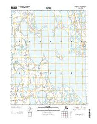 Teshekpuk C-2 SW Alaska Current topographic map, 1:25000 scale, 7.5 X 7.5 Minute, Year 2013