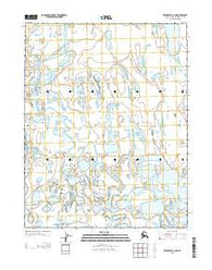 Teshekpuk C-3 NE Alaska Current topographic map, 1:25000 scale, 7.5 X 7.5 Minute, Year 2013